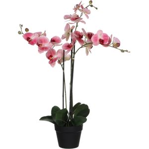 Mica Decorations Orchidee bloem kunstplant - roze - H75 x B50 cm
