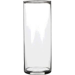 1x Ronde Bloemen Vaas/Vazen van Helder Glas 24 cm - Voor Verse Of Kunst Bloemen en Boeketten