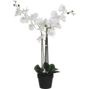 Mica Decorations Orchidee bloem kunstplant - wit - H75 x B50 cm  - Kunstplanten