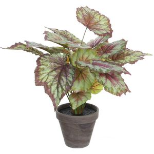 Mica Decorations - Begonia - Kunstplant - Rood - Terracotta Pot