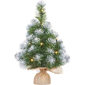 Black Box kunstkerstboom Norton met verlichting & sneeuw | 45 cm | 10 LED lichtjes | Kleine kerstboom