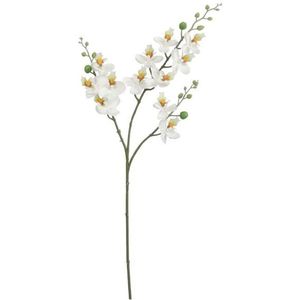 Kunstbloem Orchidee tak - wit - 75 cm - Kunst zijdebloemen - Kunstbloemen