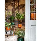 Mica Decorations Plantenpot/bloempot - keramiek - donkergroen glans/spotted- D25/H20 cm