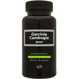 APB Holland Garcinia cambogia 290 mg puur 90 Vega Capsules