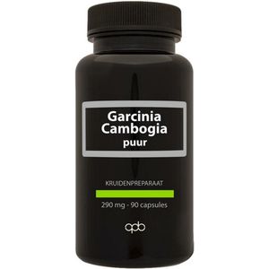 Apb holland Garcinia cambogia 290mg puur  90 Vegetarische capsules