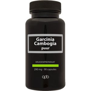 APB Holland - Garcinia Cambogia - 290mg - 60% HCA - Vegetarische Capsules
