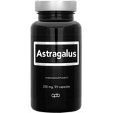 Astragalus Membranaceus - Kruidenpreparaat - 360 mg - Plantaardig