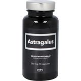 Astragalus Membranaceus - Kruidenpreparaat - 360 mg - Plantaardig