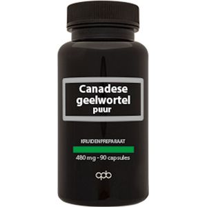 APB Holland Canadese geelwortel 480 mg puur 90 Capsules