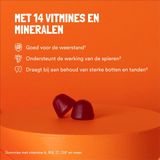 Yummygums - Multivitamine - suikervrij - gummies - vitamine B12, extra D3 en C en Mineralen en zink - vegan - 60 gummies