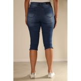 New Star - Capri - Orlando Denim - Stone Used