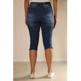 New Star - Capri - Orlando Denim - Stone Used