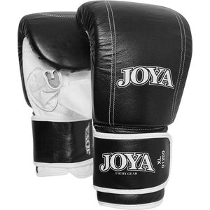 Joya Zakhandschoen Title Leather Black - Zwart - S