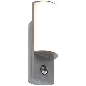 QAZQA harry - Moderne LED Wandlamp met Bewegingsmelder | Bewegingssensor | sensor voor buiten - 1 lichts - D 80 mm - Donkergrijs - Buitenverlichting