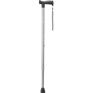 Vitility wandelstok antraciet