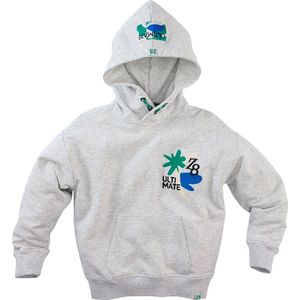 Z8 - Hoodie Jonas - Grey melange