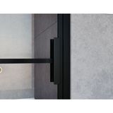 Saniclass Bellini Douchedeur - 100x200cm - vast paneel - frame lines buitenzijde - anti kalk - mat zwart SAG6221-100B
