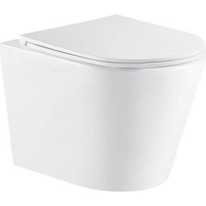 QeramiQ Dely Hangtoilet - Toiletpot - diepspoel - met softclose zitting - Glans wit