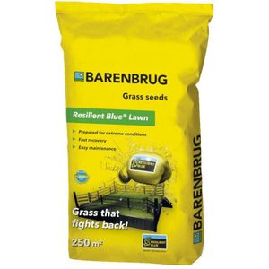 Barenbrug - Resilient Blue - Gras - Groen - Kentucky Bluegrass