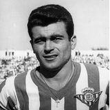 COPA - Real Betis 1958 - Retro Voetbalshirt - Groen - Wit