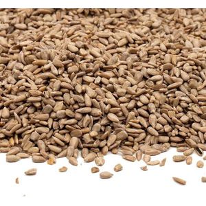 The bird family - Gepelde zonnebloempitten - 10 KG - premium kwaliteit