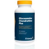 Fittergy Glucosamine chondroitine plus 100 tabletten