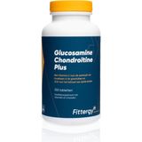 Fittergy Glucosamine chondroitine plus 100 tabletten