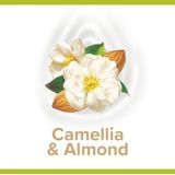 Palmolive Douchegel Naturals Kamille & Amandel 250ml