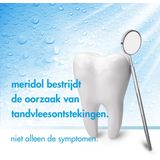 Meridol Tandvlees Tandpasta - Voordeelverpakking 12 x 75 ml