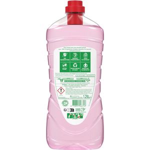 Verse Pioen Huishoudreiniger AJAX de container van 2 x 1,25 liter