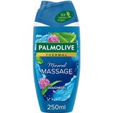 12x Palmolive Douchegel Thermal Mineral Massage 250 ml