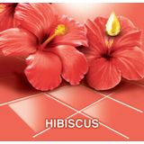 Ajax allesreiniger hibiscus (1000 ml)