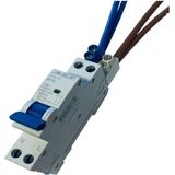 SEP - Voedingsklem DTH Dubbel - Wit - 2x10mm