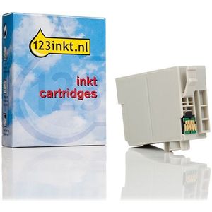 Epson 34XL (T3471) inktcartridge zwart hoge capaciteit (123inkt huismerk)