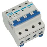 Gacia - Hoofdschakelaar - 63A - 4-polig - Geschikt voor AC systemen