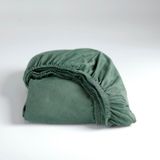 Cinderella - Hoeslaken - tot 25 cm matrashoogte - Jersey - 160x200 cm - Groen