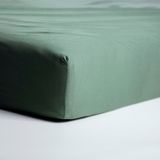 Cinderella - Hoeslaken - tot 25 cm matrashoogte - Jersey - 160x200 cm - Groen