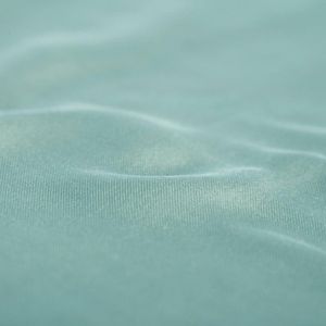 Cinderella Sundays 2x Kussenslopen Satijn Mineraal Groen Set van 2 stuks