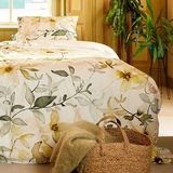 Cinderella - Wonder - Dekbedovertrek - Katoen - 140x200/220 cm + 1 kussensloop 60x70 - Geel