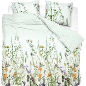 Cinderella - Flora - Dekbedovertrek - Katoen Satijn - 260x200/220 cm + 2 kussenslopen 60x70 - Ivoor