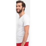 Bamboo Basics 2-Pak Heren T-shirts V-hals - Donkerblauw - Groen - Wit - Zwart