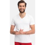 Bamboo Basics 2-Pak Heren T-shirts V-hals - Donkerblauw - Groen - Wit - Zwart