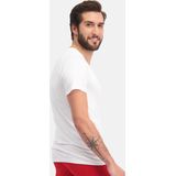 Bamboo Basics 2-Pak Heren T-shirts V-hals - Donkerblauw - Groen - Wit - Zwart