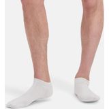 Sokken Bamboo Basics Dani White 