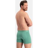 Bamboo Basics - Boxershorts - Zwart - Petrol - Lichtgroen - 3-pack - Lange Pijp