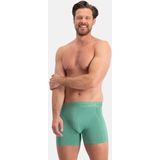 Bamboo Basics - Boxershorts - Zwart - Petrol - Lichtgroen - 3-pack - Lange Pijp