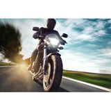 Philips - Ultinon Pro6000 - LED Lamp - H7 - 230% Heldere Licht - 5800K