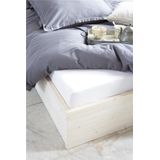 Walra Hoeslaken Jersey Stretch 100% Katoen Wit