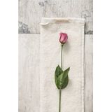 Walra - Gastendoek Soft Cotton - Kiezel Grijs - 100% Katoen - 2x 30x50