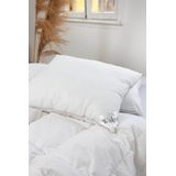 Walra Hoofdkussen Athene - 60x70 - Wit